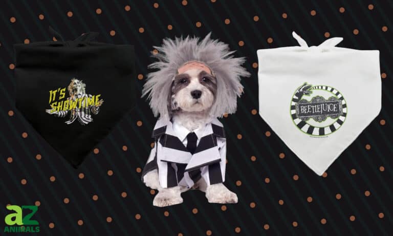 Dog Beetlejuice Costumes