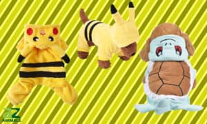 The Best Pokémon Costumes for Dogs Picture