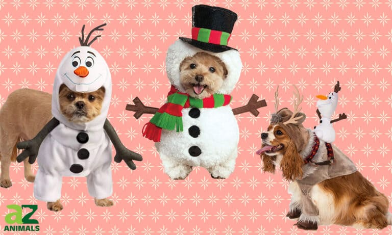 Olaf Dog Costumes