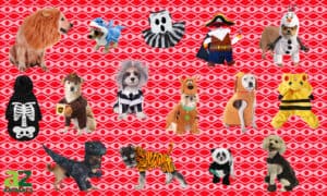 Best Costumes for Large Dogs Picture