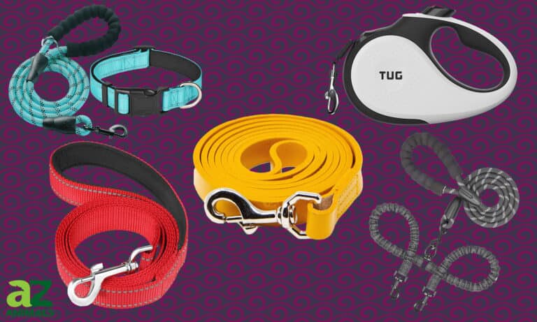 dog leashes