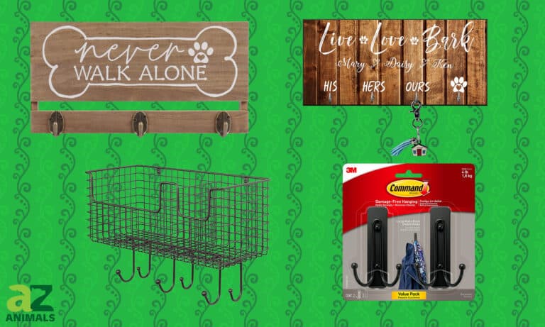 Dog Leash Holders