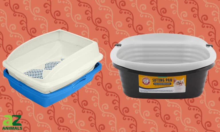 Sifting Litter Box