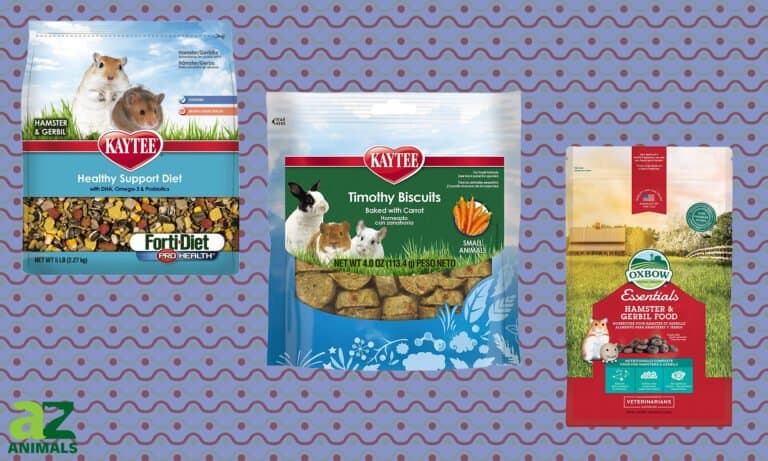 Hamster Food