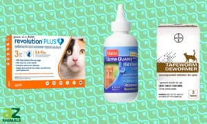 The Best Dewormer for Cats Picture