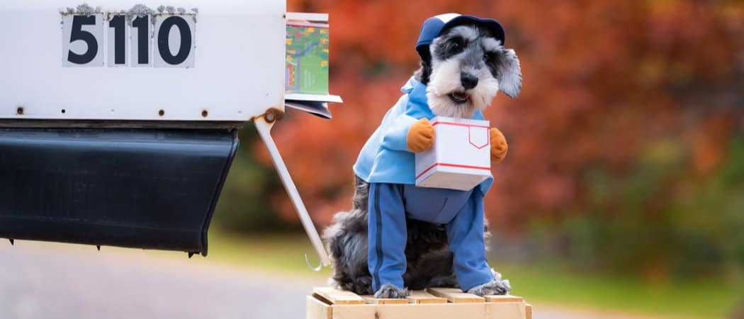 mail carrier dog by mailbox
