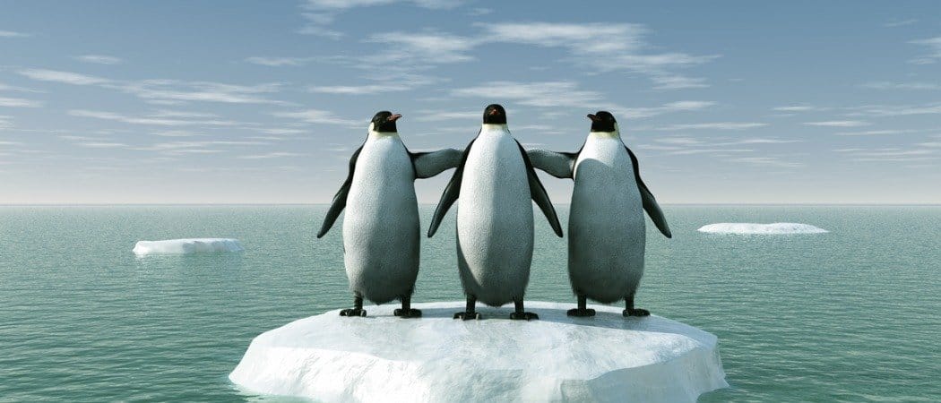 Are Penguins Mammals? - AZ Animals
