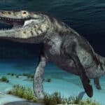Tylosaurus