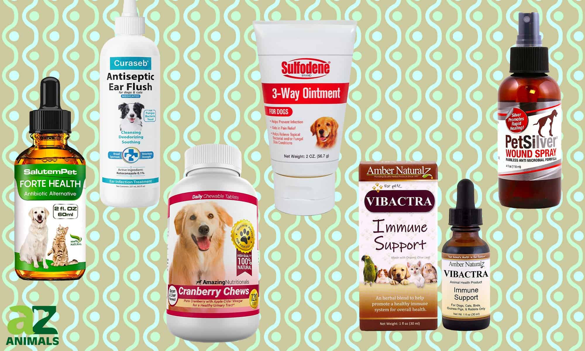 Antibiotics for Dogs: Updated for 2022 - AZ Animals