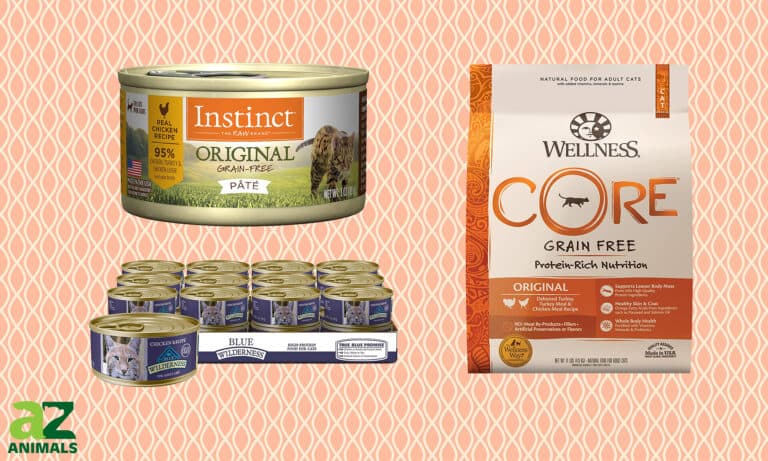 High Calorie Cat Food
