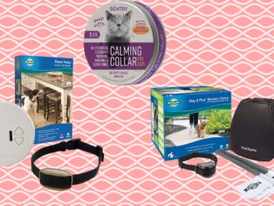 A The Best Cat Shock Collars: Reviewed for 2021