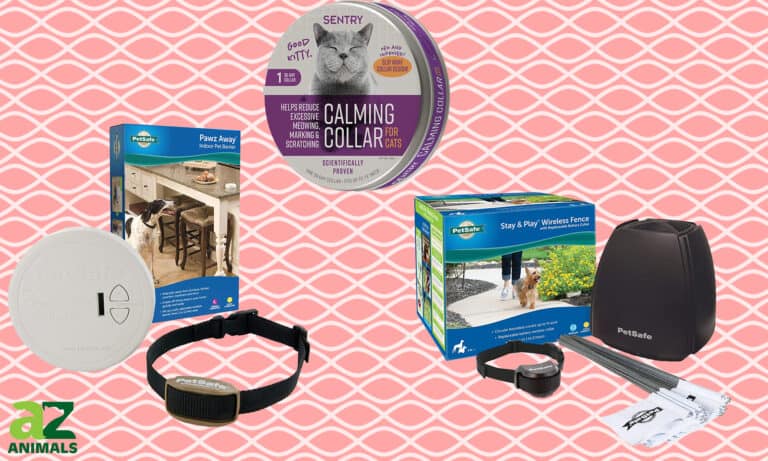 Cat Shock Collars