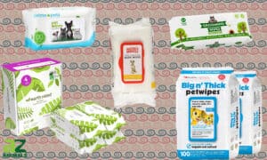 Compare the Top 5 Best Pet Wipes: Reviewed Picture