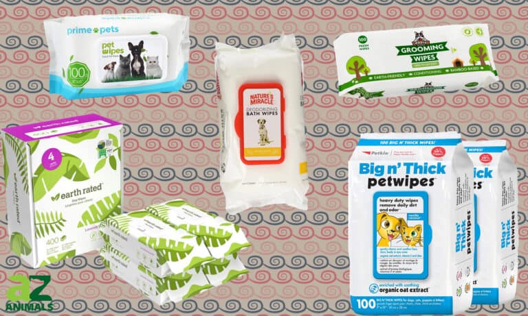 Pet Wipes
