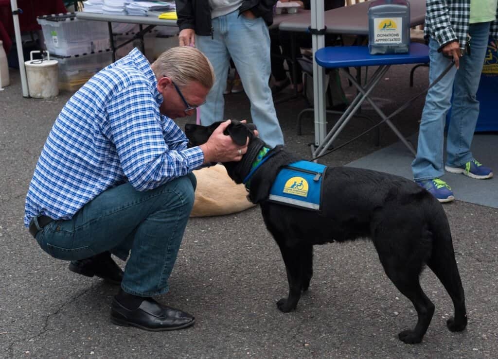 Types of Service Dogs