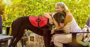 9 Types of Service Dogs Picture