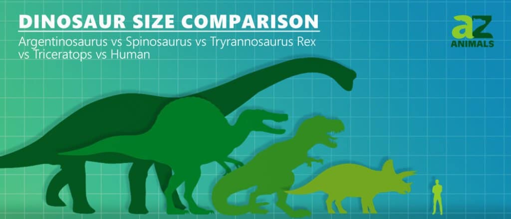 carnivorous dinosaurs size chart