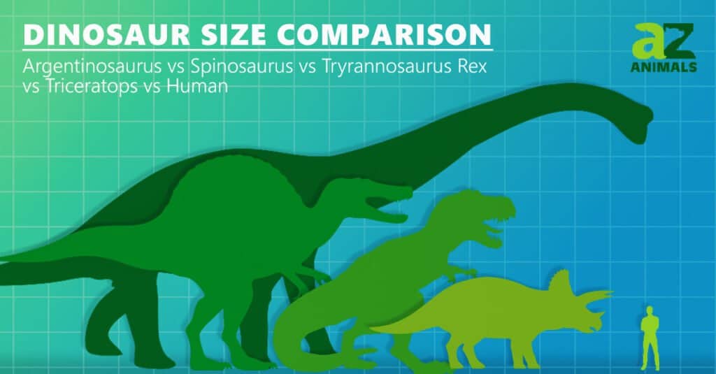Dinosaur size comparison argentinousaurus Spinosaurus tyrannosaurus rex triceratops