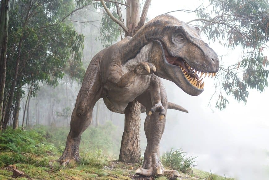 Large Tyrannosaurus Rex in forest