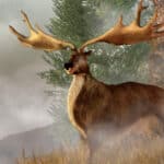 Giant deer