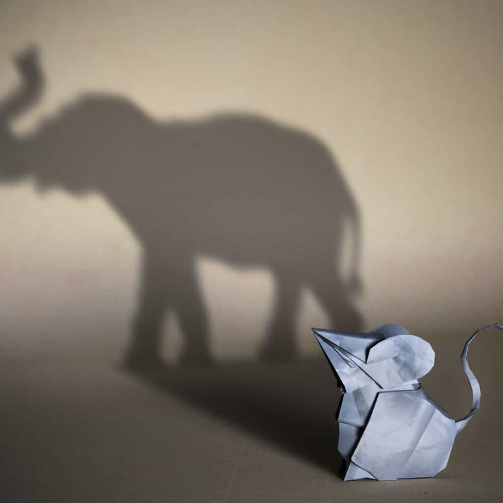 Are elephants afraid of mice - mouse illuminating elephant
