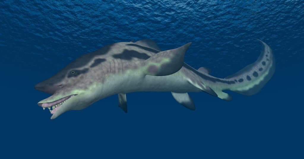 prehistoric electric shark