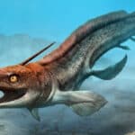 Freshwater shark