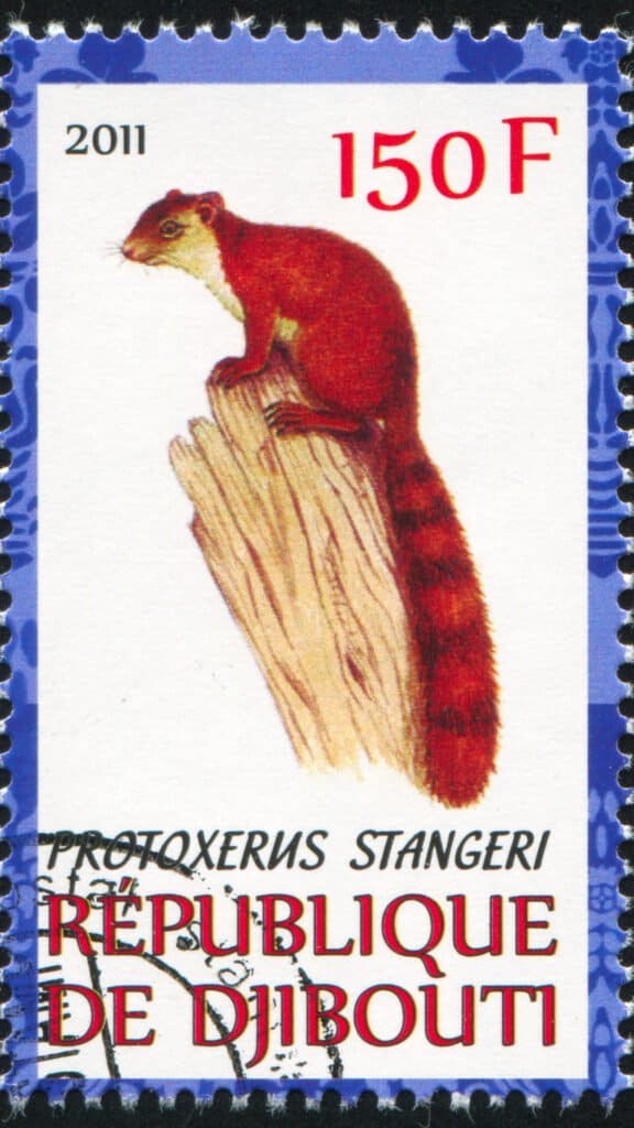 Largest squirrels - forest giant squirrel stamp
