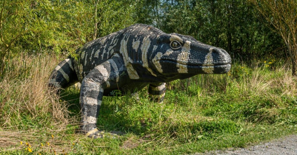 Monitor Lizard Facts - Megalania