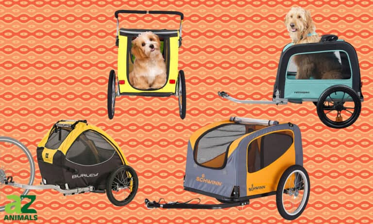 Dog Bike Trailers