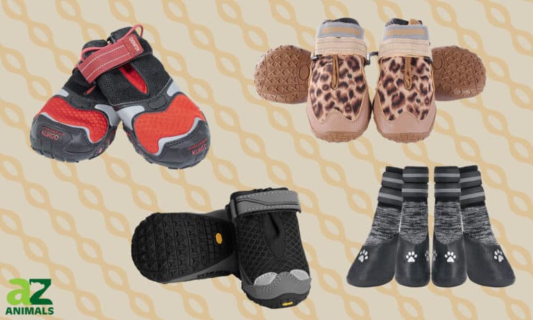 Dog Booties