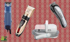 Pick Out the Best Dog Clippers (For Grooming): Reviewed Picture