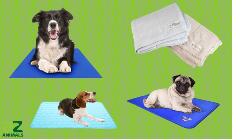 Dog Cooling Pads