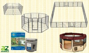 Portable Dog Fences: Reviewed Picture