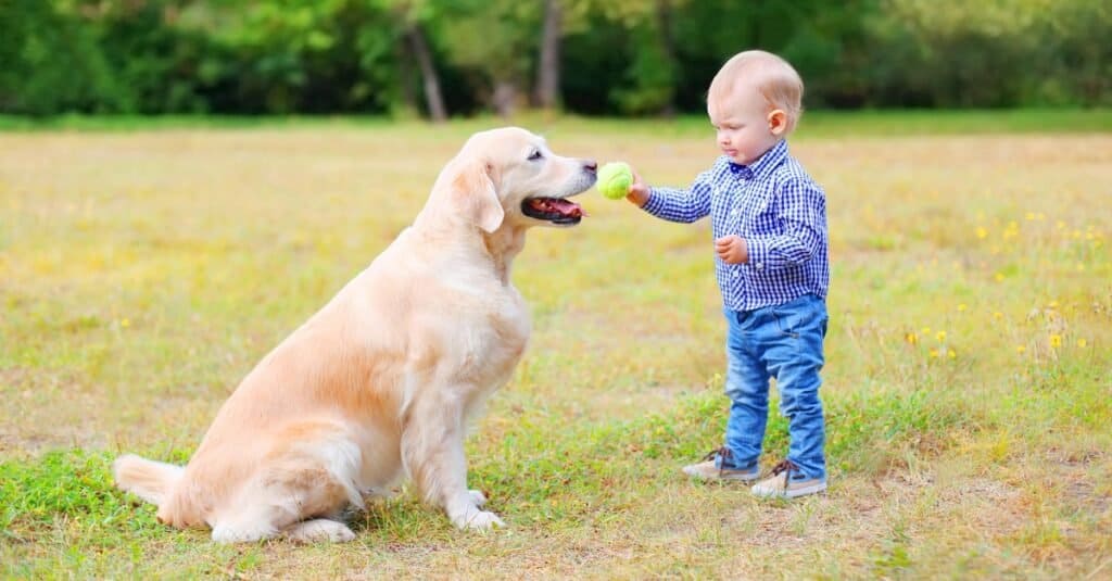 The 10 Best Animals For Kids - IMP WORLD