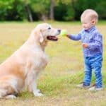 Dog ownership can teach children about responsibility, help them process their feelings and improve their health.