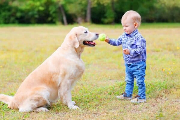 Dog ownership can teach children about responsibility, help them process their feelings and improve their health.
