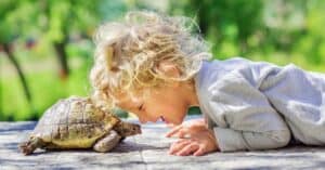 The 10 Best Animals for Kids Picture