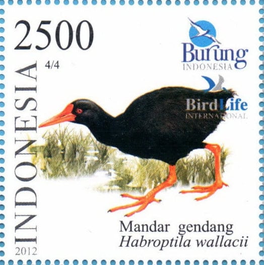 Coolest bird names