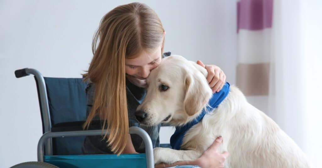 service dog for physical disability