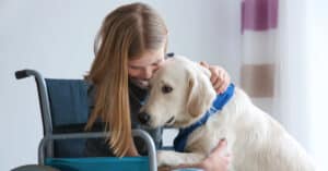 Types of Emotional Support Dogs Picture