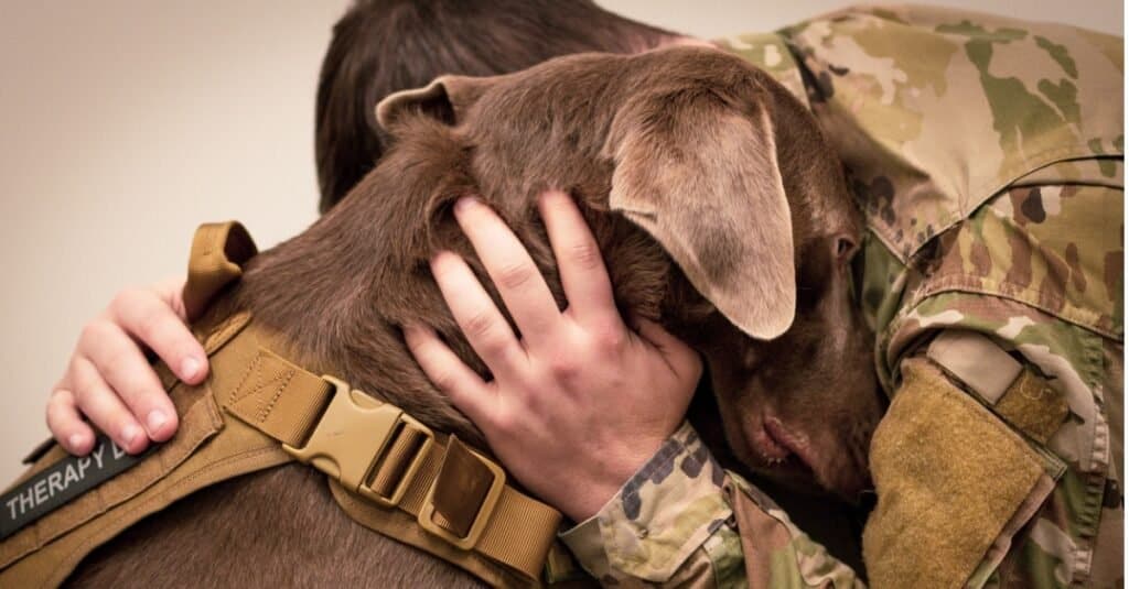 Types of Emotional Support Dogs - A-Z Animals