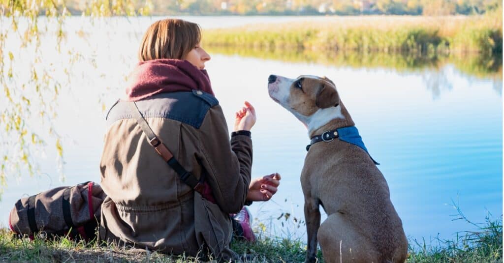 emotional support dog "listening" to human