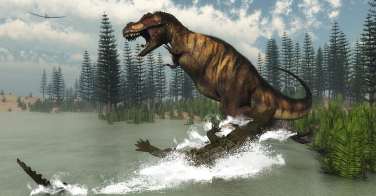 Crocodile Bite Force - Deinosuchus Attacking a Dinosaur