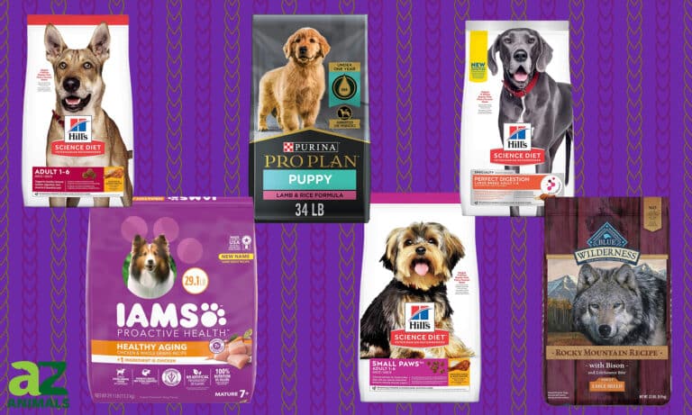 Dry Dog Food