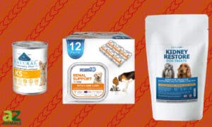 The Best Low Phosphorus Dog Foods Picture