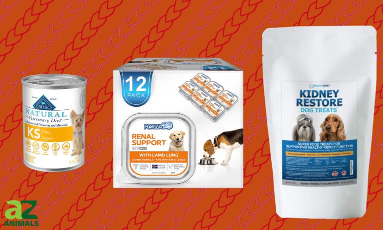 Low Phosphorus Dog Foods