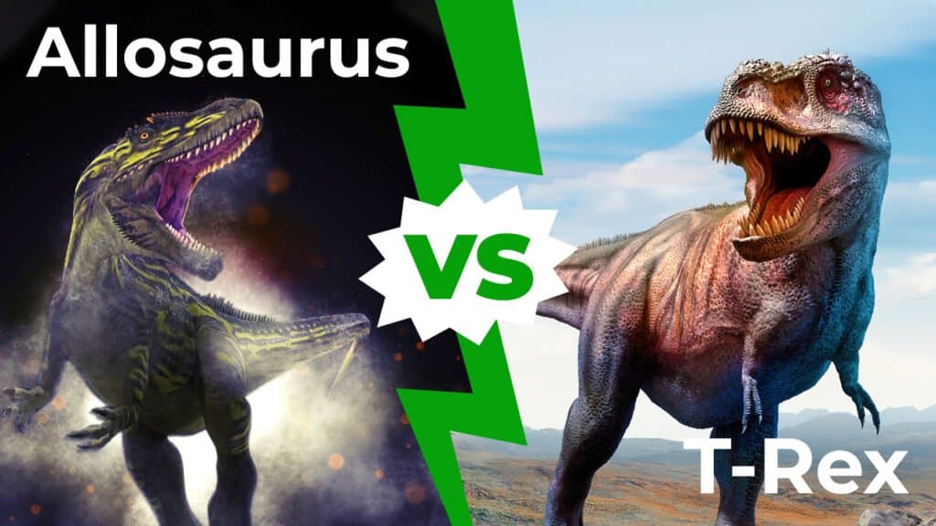 t rex and allosaurus