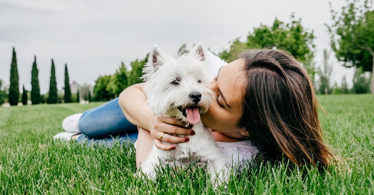 When 'emotional support animals' offer all the comfort of chicken