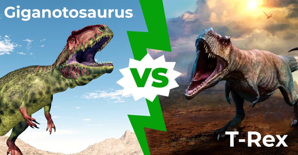 Who won Giganotosaurus or T. rex?
